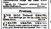 Advertiser 13031880