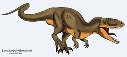 Carcharodontosaurus
