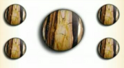 Amazon Jasper