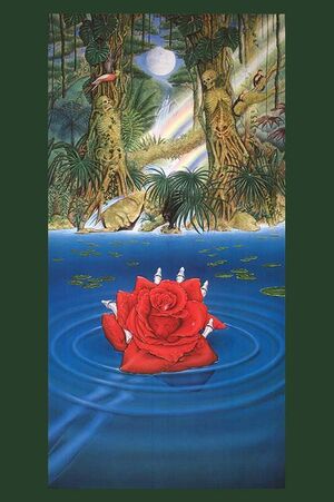 Rainforestbenefitposter