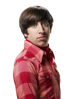 howard wolowitz batman pop