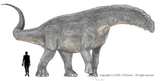 titanosaurid