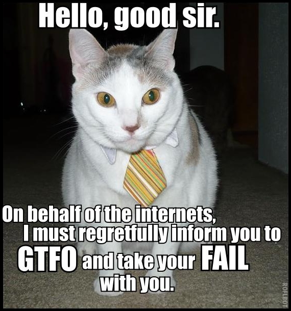 Gtfo_cat_lol.jpg