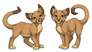 Catus by kamirah-d5iw5og