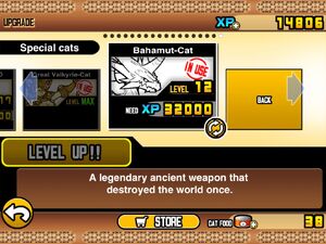 Bahamut cat