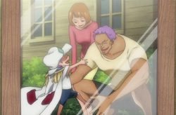 Familia de Z