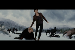 Alice drags Jane