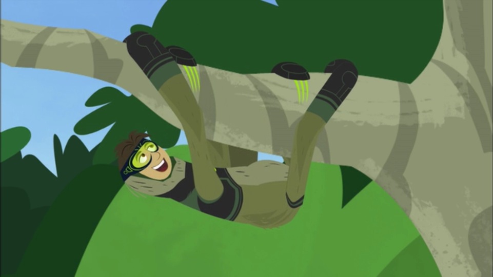 Wild Kratts Sloth Bear Full Episode | donyaye-trade.com