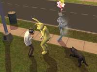 Socialbunnytherapist