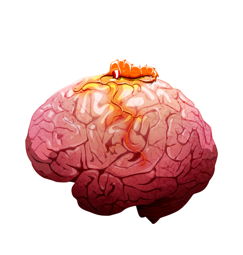 Brain_02_off%402x.png