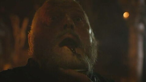 Craster