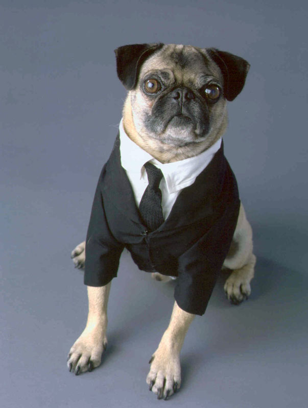 Frank (Men in Black) Alien Wiki