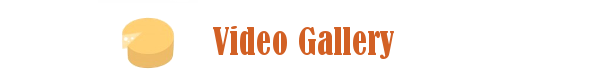 Vidgal