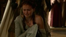 204DerGartenderKnochenSansa1