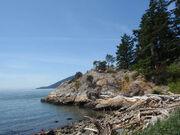 WhyteCliff Park