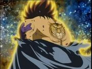Dohko Tigre