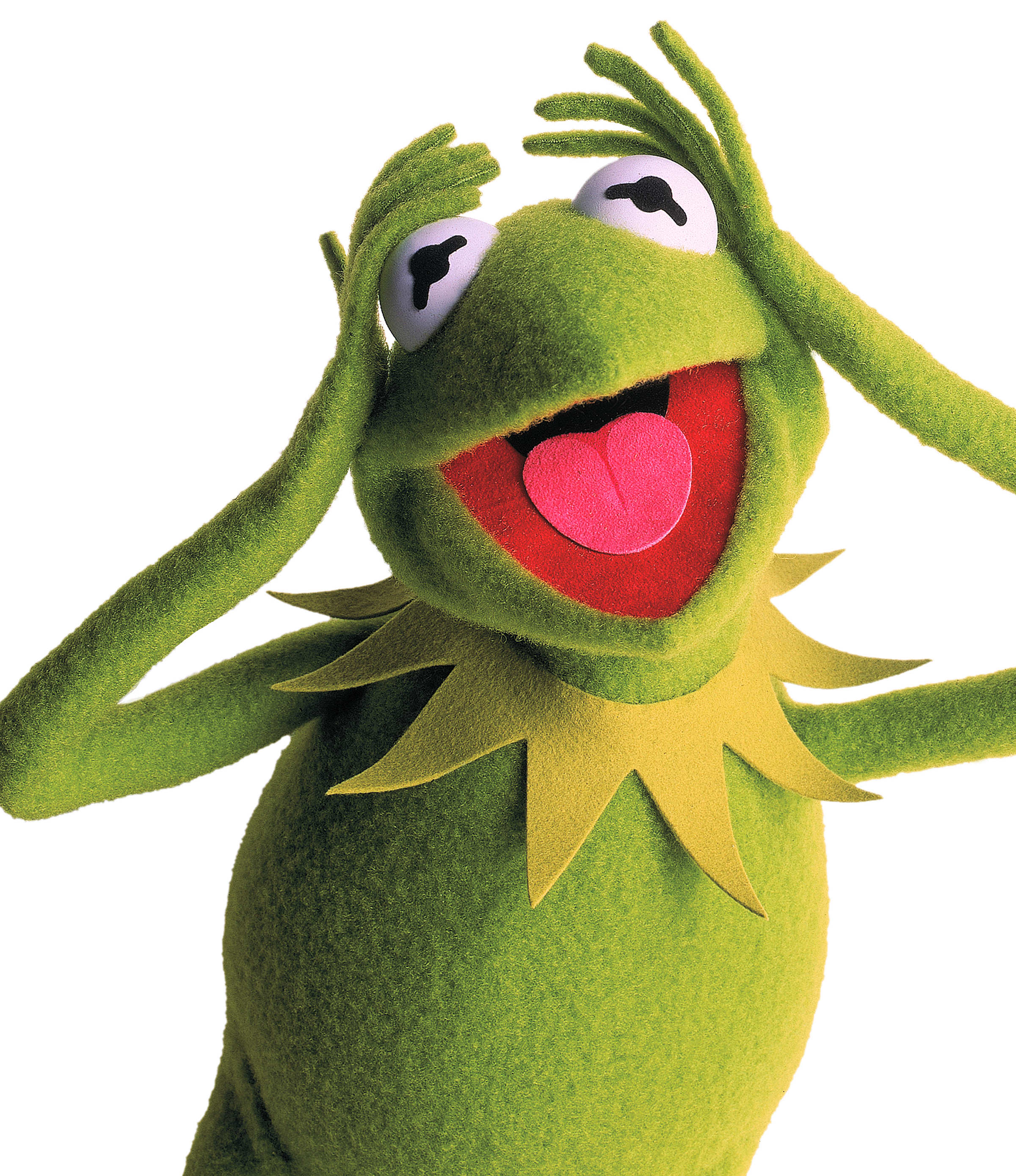 Kermit_exasperated.jpg