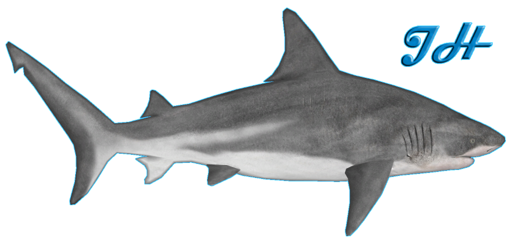 bull shark figure