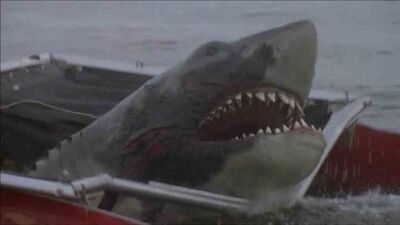 Jaws-2-shark