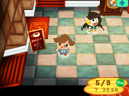 Museum – Animal Crossing - Wild World Wiki