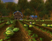 The Stonefield Farm