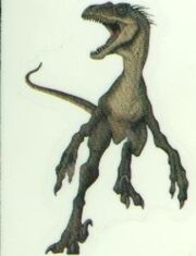 Male Raptor Artwork