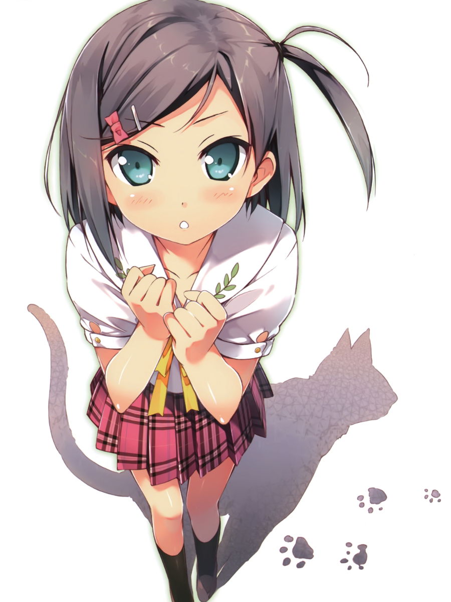http://img2.wikia.nocookie.net/__cb20130516191604/henneko/images/8/89/TsukikoCover.png