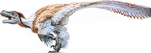 Dromaeosaurus - Dinopedia - The Free Dinosaur Encyclopedia