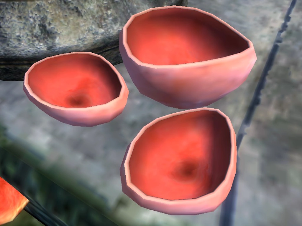 Elf Cup Cap The Elder Scrolls Wiki