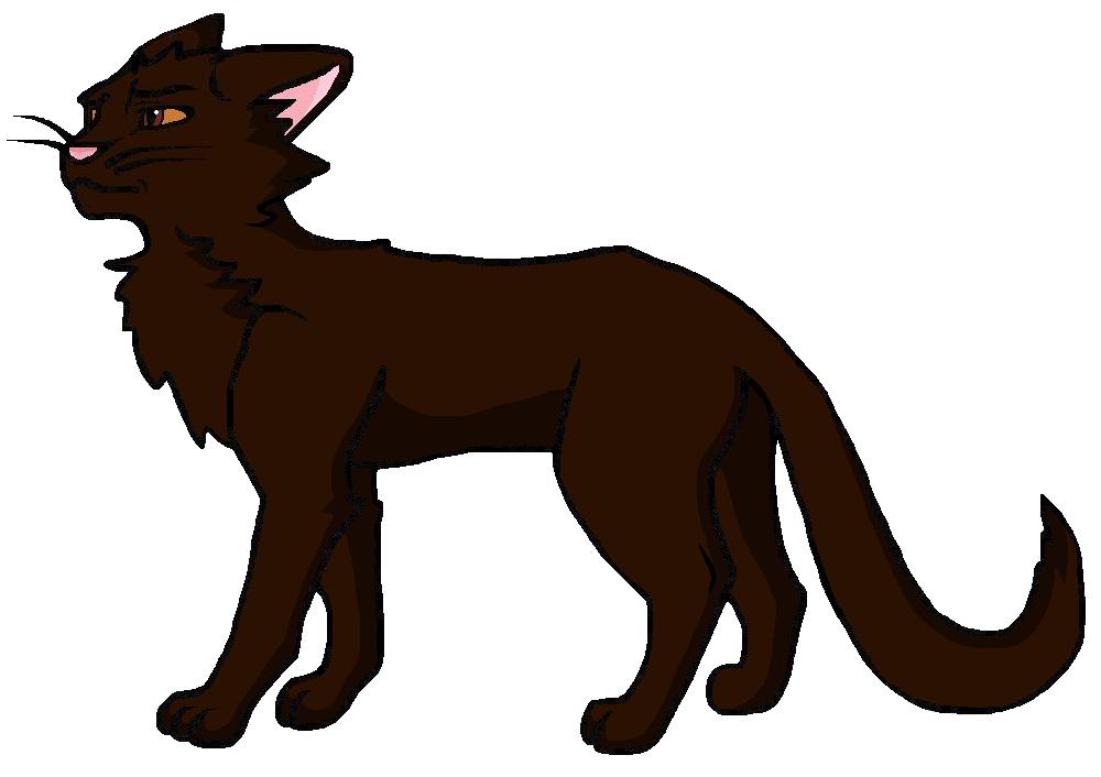 Warrior Cats Wikia Warrior Cats Wikia
