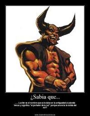Images (71)