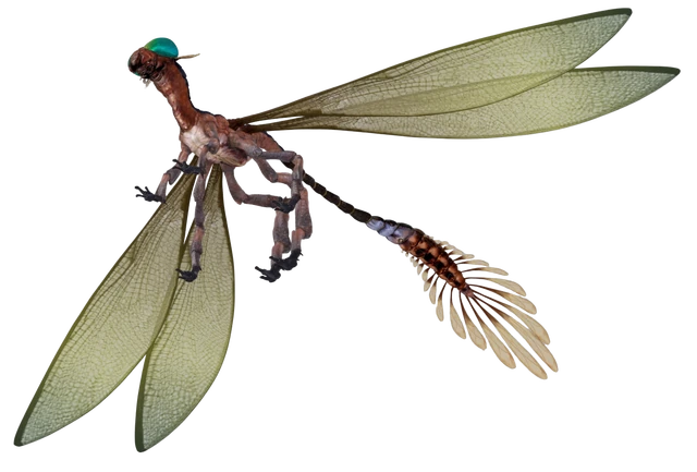 Image - Can-cell.png - Wookieepedia, the 