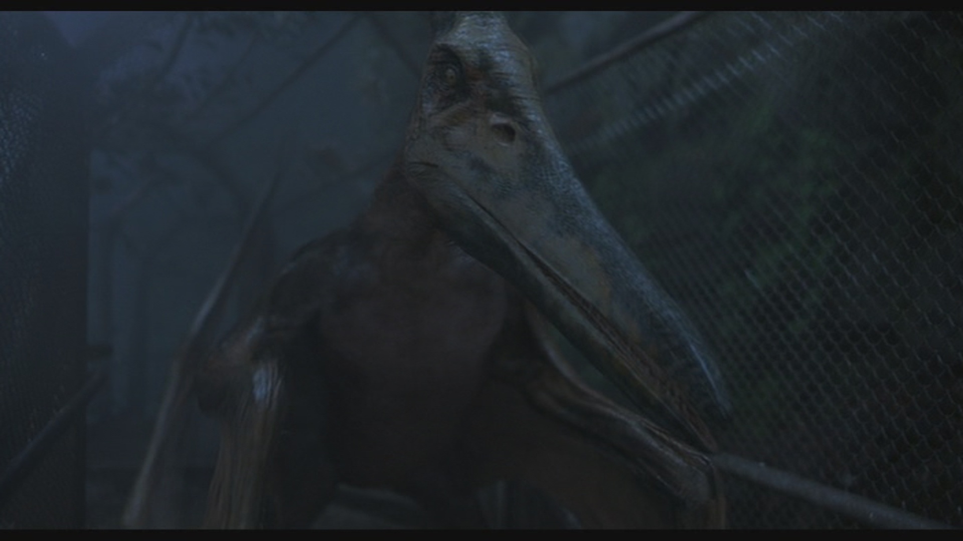 the pteranodon