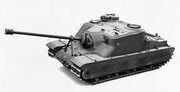 Torti