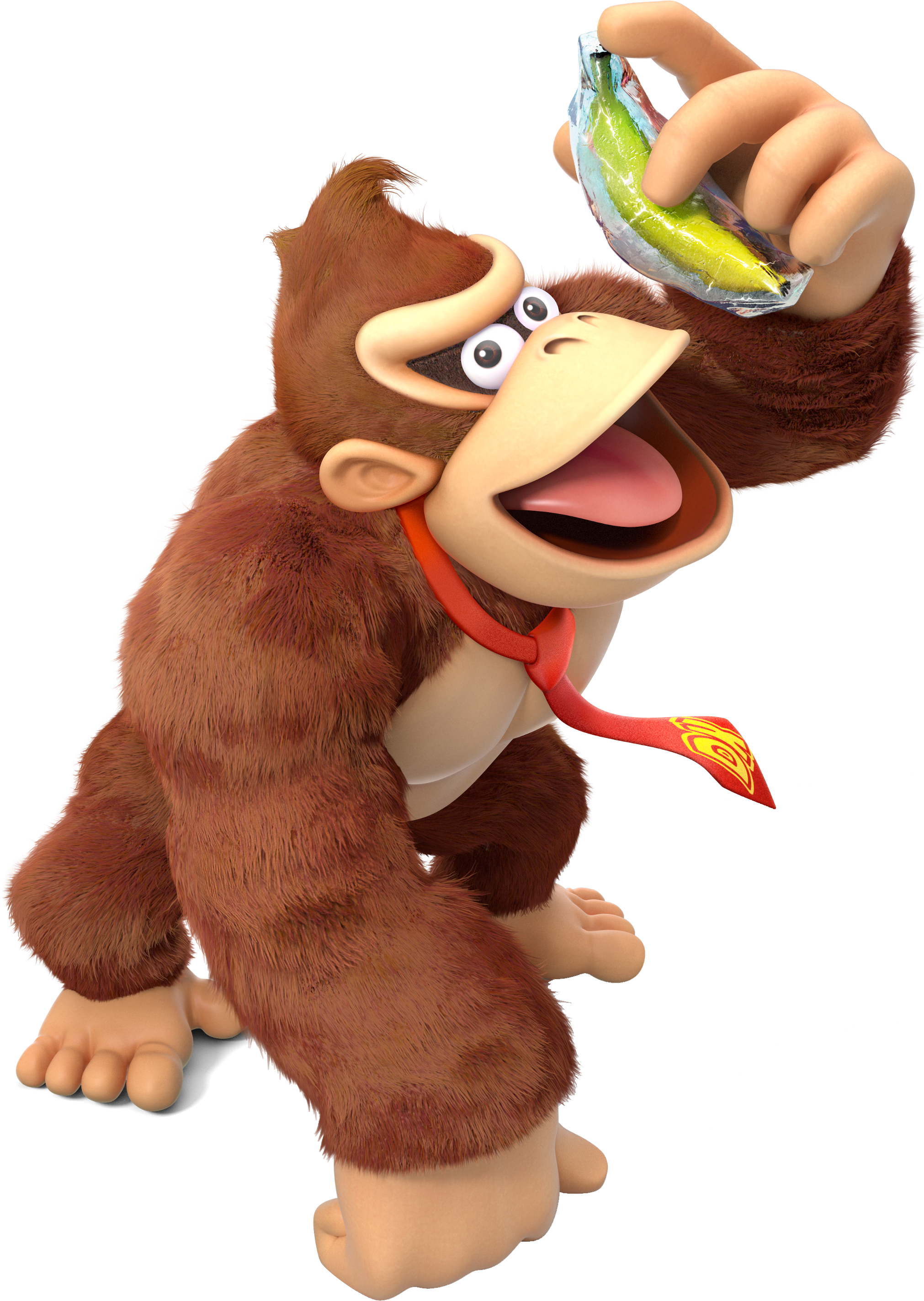 Donkey Kong Country: Tropical Freeze (Slideshow) Quiz - By survivordude56