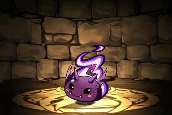 Pet045