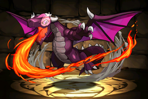 Pet729