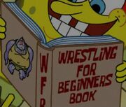 Wresting book for beginers