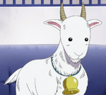 Sengoku's Goat