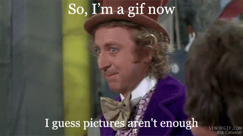 Willy Wonka Meme Becomes A Gif Because Pictures Arent Enough