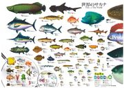 Fishposter