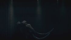 4x2 Mammoth 2