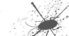 Roach icon