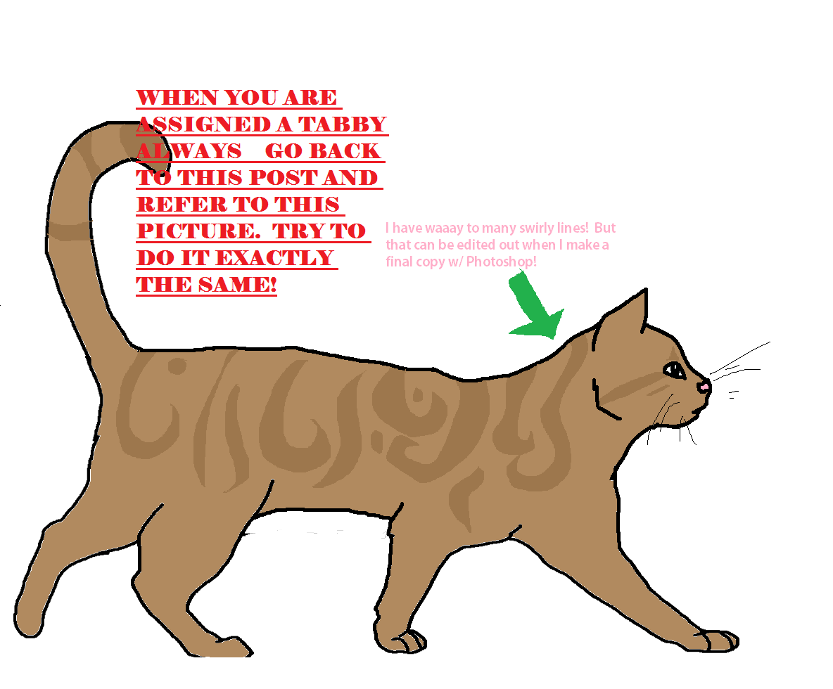 User Blogkatwolfiehow To Draw Tabby For Outline Tutorial Blogclan Wiki 6733