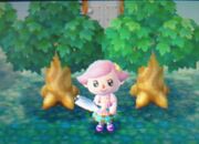 TreeDifferentLeaves