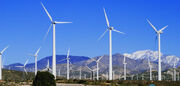 Windmill-farm