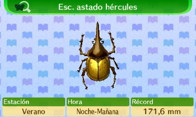 Escarabajo_Astado_H%C3%A9rcules_NL.png