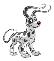 Spotted gelert cropped