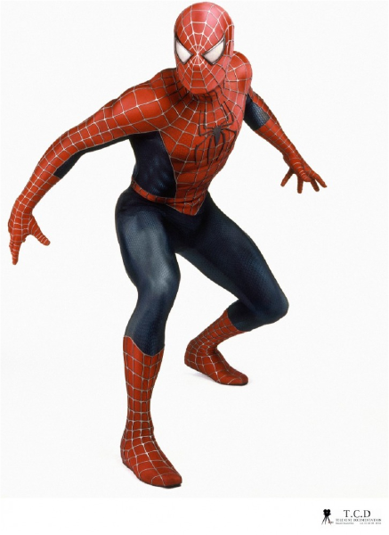 spider man wiki 2002