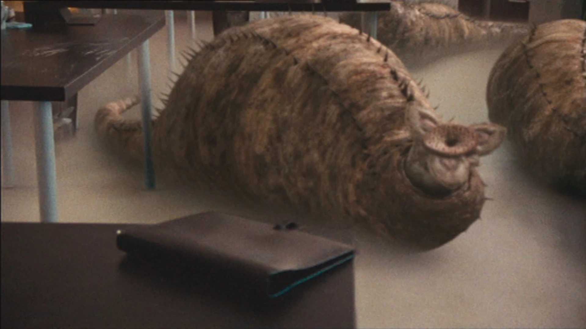 Precambrian Worm Anomaly Research Centre